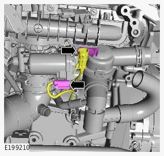 Intake Manifold - Ingenium I4 2.0l Petrol